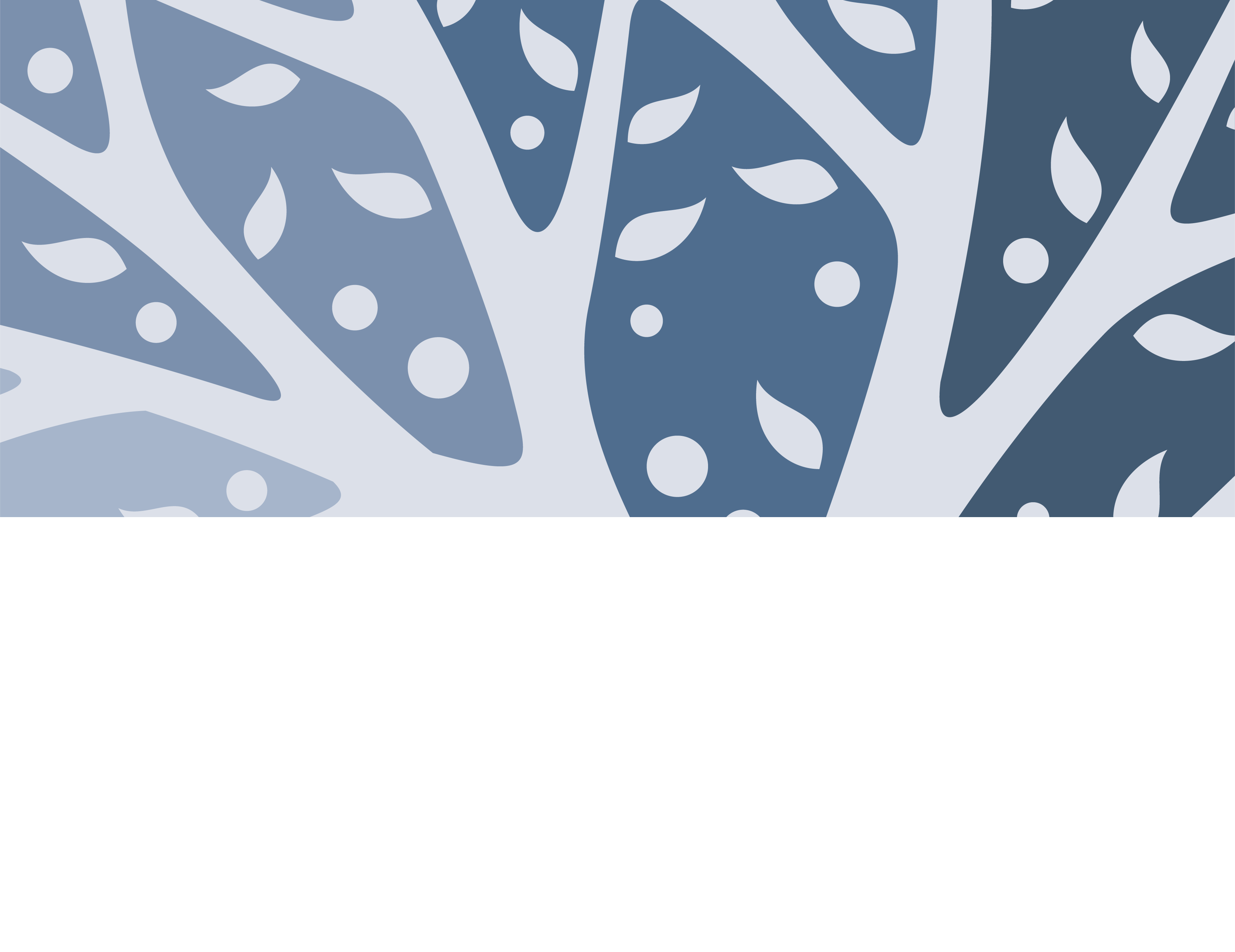 Logo Kallani Felix